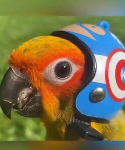 AdorBird Vogelhelm (3 Stück)