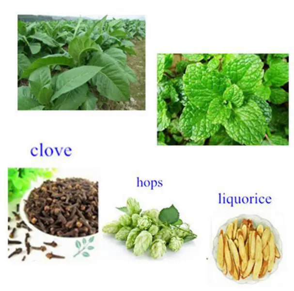 Seurico™ Anti-Rauch-Pflaster - Image 3